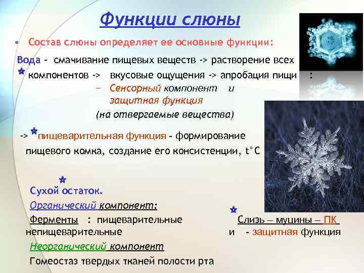 Функции слюны • Состав слюны определяет ее основные функции: Вода - смачивание пищевых веществ