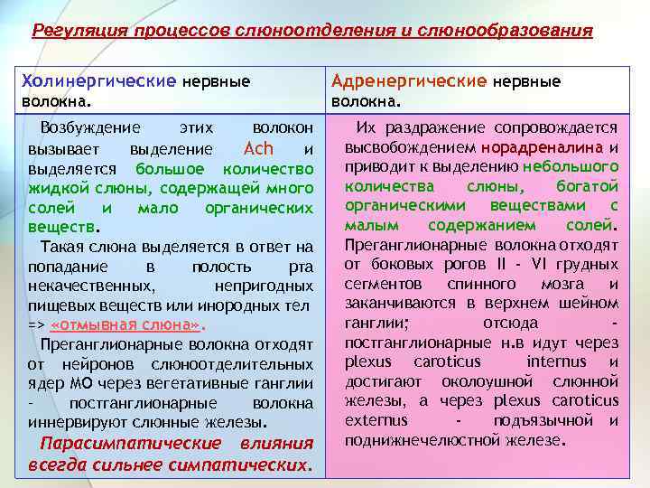 Регуляция процессов слюноотделения и слюнообразования Холинергические нервные Адренергические нервные волокна. Возбуждение этих волокон вызывает