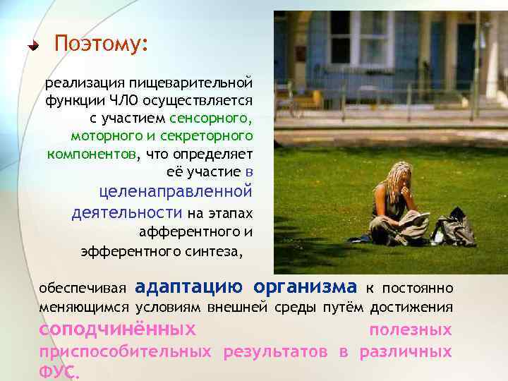 Поэтому: реализация пищеварительной функции ЧЛО осуществляется с участием сенсорного, моторного и секреторного компонентов, что