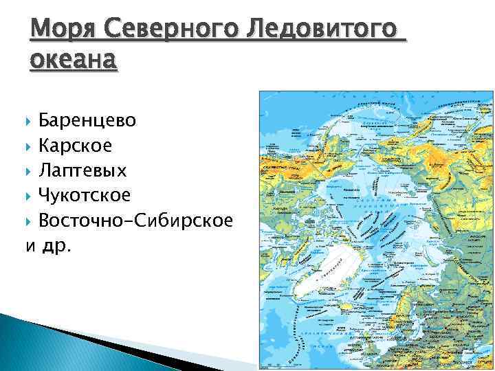 Моря Северного Ледовитого океана Баренцево Карское Лаптевых Чукотское Восточно-Сибирское и др. 