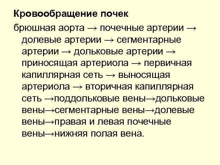 Кровообращение почек брюшная аорта → почечные артерии → долевые артерии → сегментарные артерии →