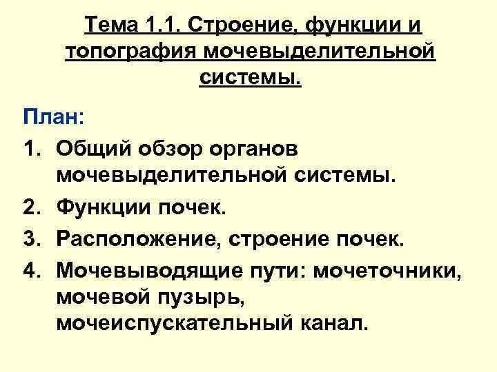 Тема 1. 1. Строение, функции и топография мочевыделительной системы. План: 1. Общий обзор органов