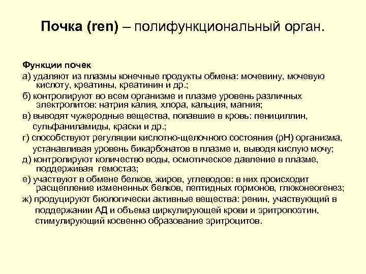 Почка (ren) – полифункциональный орган. Функции почек а) удаляют из плазмы конечные продукты обмена: