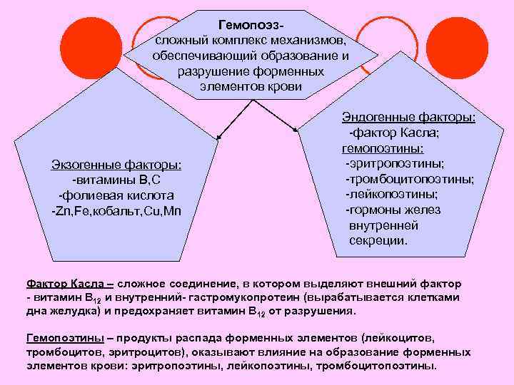 Гемопоэзсложный комплекс механизмов, обеспечивающий образование и разрушение форменных элементов крови Экзогенные факторы: -витамины В,