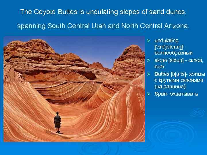 The Coyote Buttes is undulating slopes of sand dunes, spanning South Central Utah and