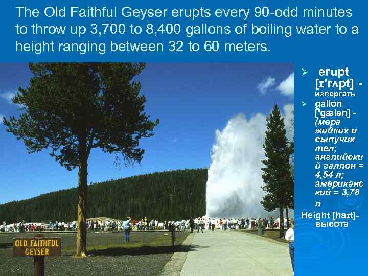 The Old Faithful Geyser erupts every 90 -odd minutes to throw up 3, 700