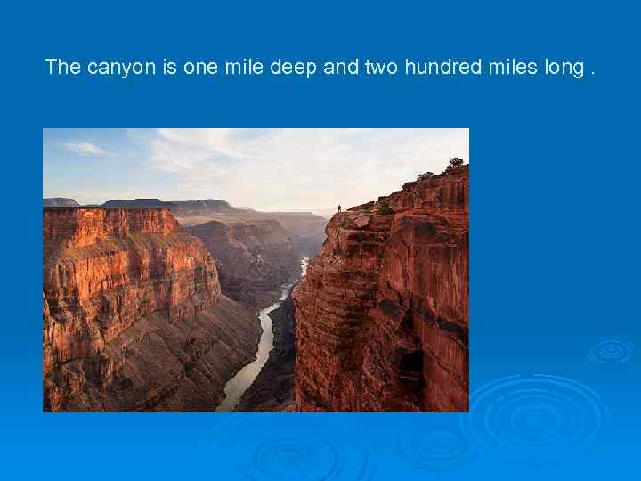  The canyon is one mile deep and two hundred miles long. 