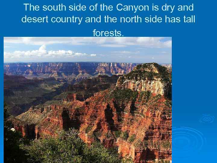 The south side of the Canyon is dry and desert country and the north