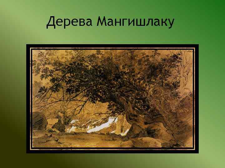 Дерева Мангишлаку 