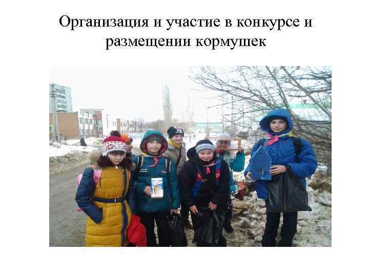 Организация и участие в конкурсе и размещении кормушек 
