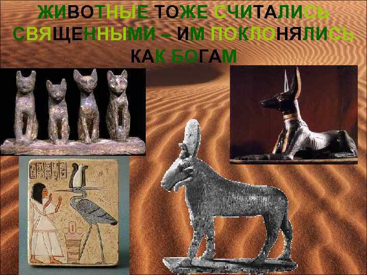 ЖИВОТНЫЕ ТОЖЕ СЧИТАЛИСЬ СВЯЩЕННЫМИ – ИМ ПОКЛОНЯЛИСЬ КАК БОГАМ 