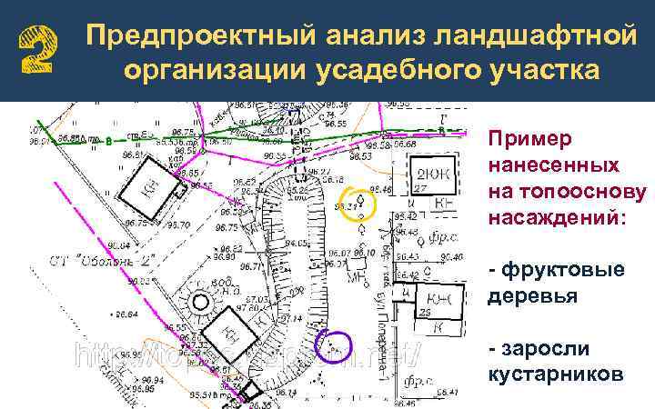 Предпроектный анализ проекта