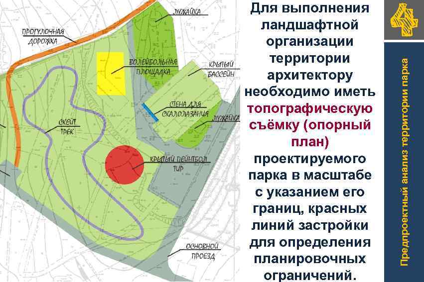 Предпроектный анализ территории парка Для выполнения ландшафтной организации территории архитектору необходимо иметь топографическую съёмку