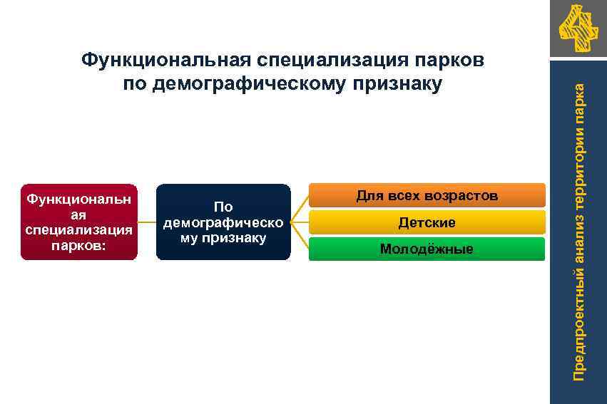 Функциональн ая специализация парков: По демографическо му признаку Для всех возрастов Детские Молодёжные Предпроектный