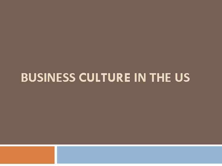 BUSINESS CULTURE IN THE US 