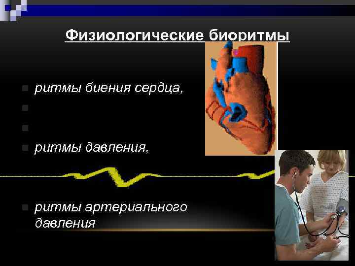 Физиологические биоритмы n ритмы биения сердца, n n n ритмы давления, n n n