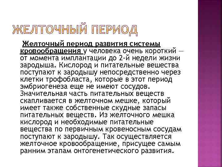 Желточный период развития системы кровообращения у человека очень короткий — от момента имплантации до