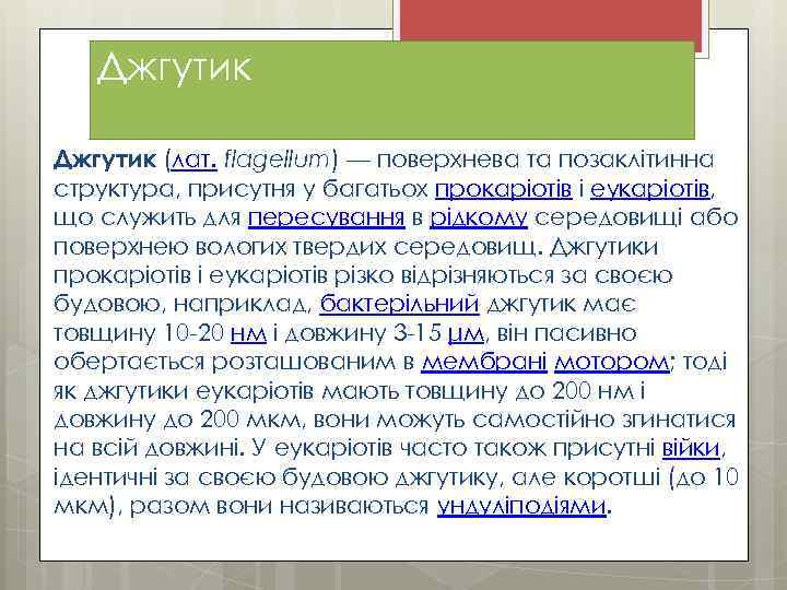 Джгутик (лат. flagellum) — поверхнева та позаклітинна структура, присутня у багатьох прокаріотів і еукаріотів,