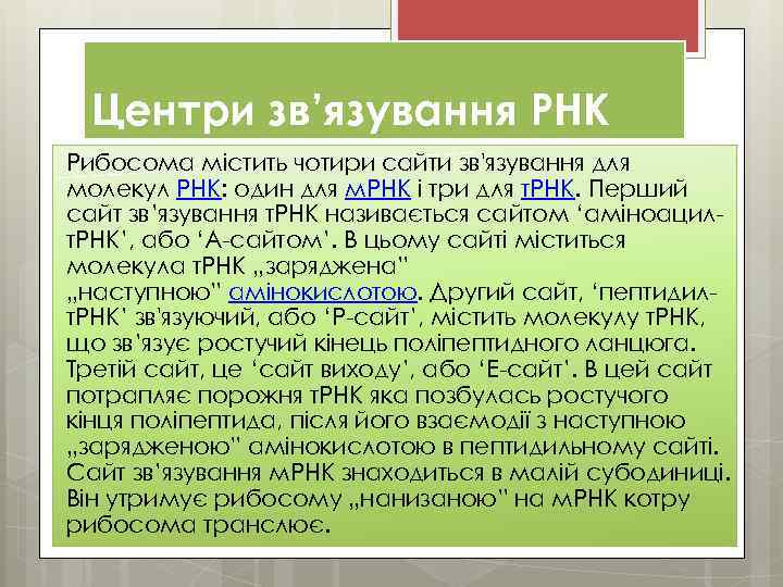 Центри зв’язування РНК Рибосома містить чотири сайти зв'язування для молекул РНК: один для м.