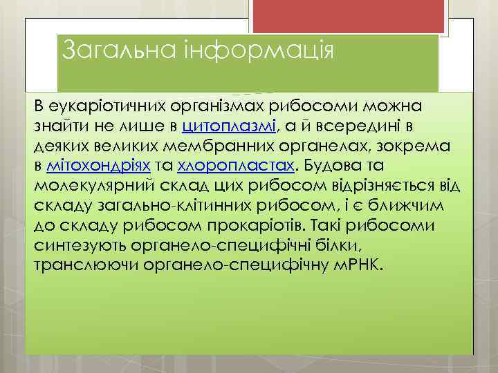 Загальна інформація В еукаріотичних організмах рибосоми можна знайти не лише в цитоплазмі, а й
