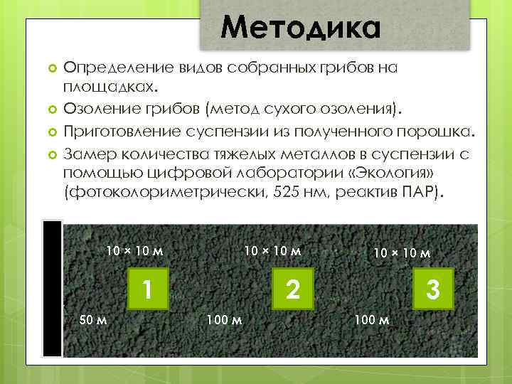 методика Методика Определение видов собранных грибов на площадках. Озоление грибов (метод сухого озоления). Приготовление