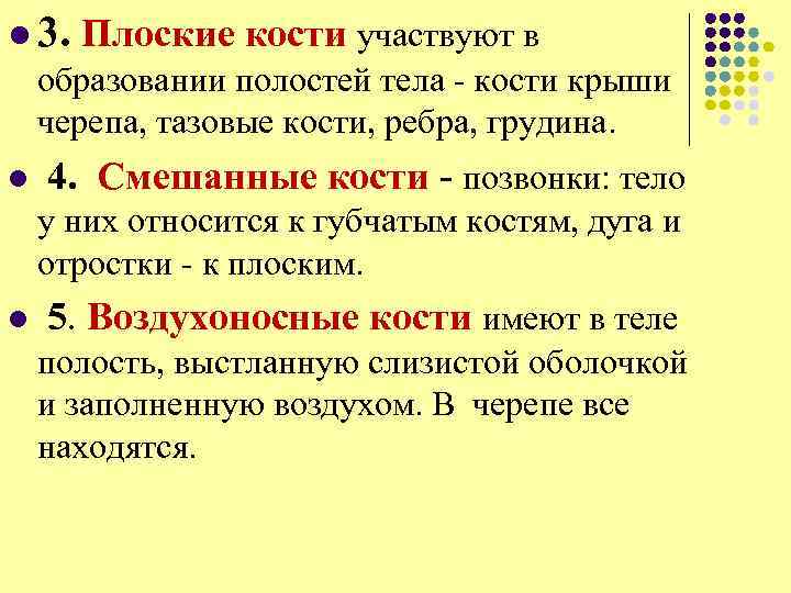 l 3. Плоские кости участвуют в образовании полостей тела - кости крыши черепа, тазовые