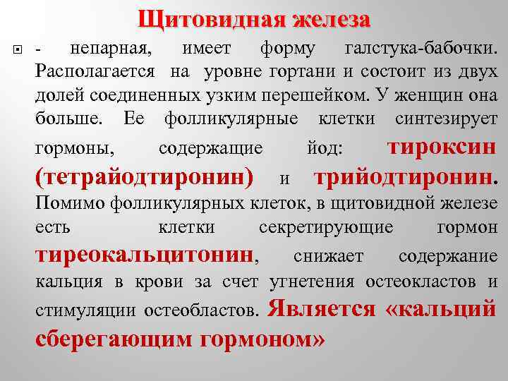 Щитовидная железа непарная, имеет форму галстука-бабочки. Располагается на уровне гортани и состоит из двух