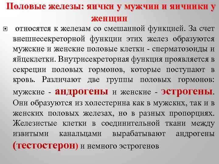 Половые железы: яички у мужчин и яичники у женщин относятся к железам со смешанной
