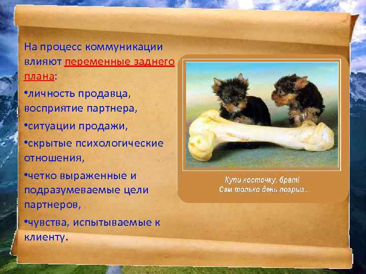 На процесс коммуникации влияют переменные заднего плана: • личность продавца, восприятие партнера, • ситуации