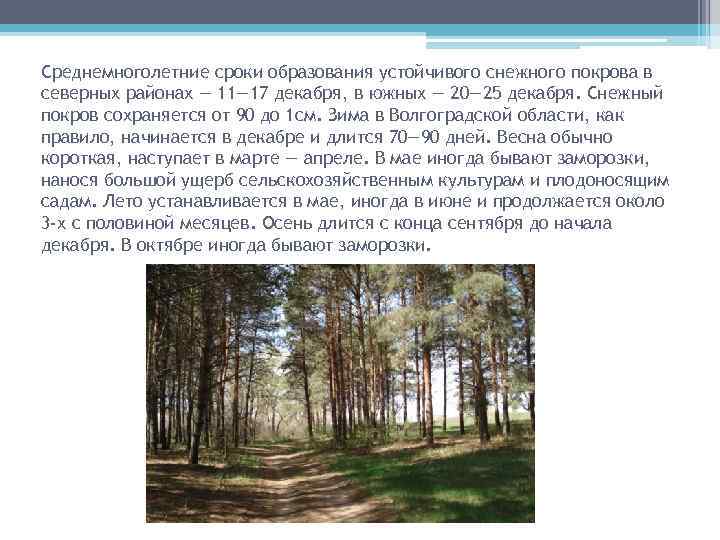 Среднемноголетние сроки образования устойчивого снежного покрова в северных районах — 11— 17 декабря, в