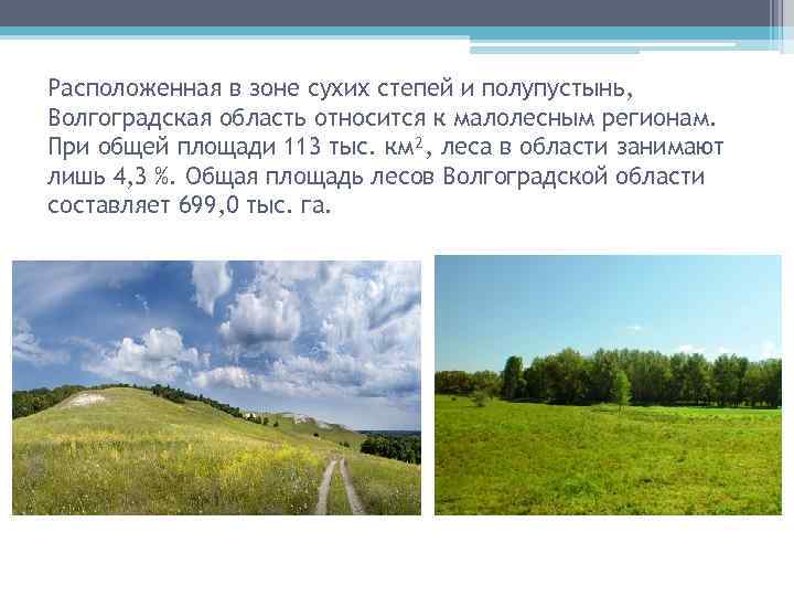 Расположенная в зоне сухих степей и полупустынь, Волгоградская область относится к малолесным регионам. При