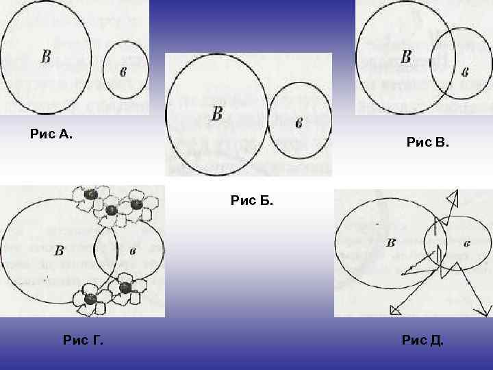 Рис А. Рис В. Рис Б. Рис Г. Рис Д. 