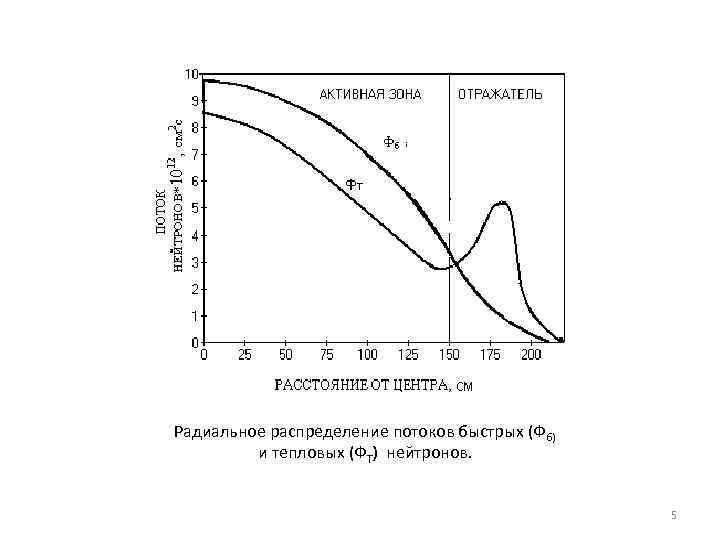 Радиальное распределение потоков быстрых (Фб) и тепловых (ФТ) нейтронов. 5 