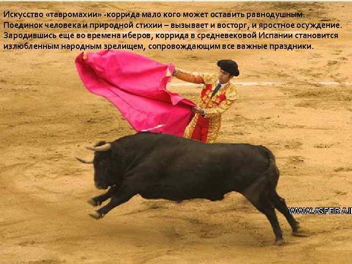 Искусство «тавромахии» -коррида мало кого может оставить равнодушным. Поединок человека и природной стихии –