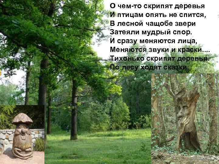 О чем-то скрипят деревья И птицам опять не спится, В лесной чащобе звери Затеяли