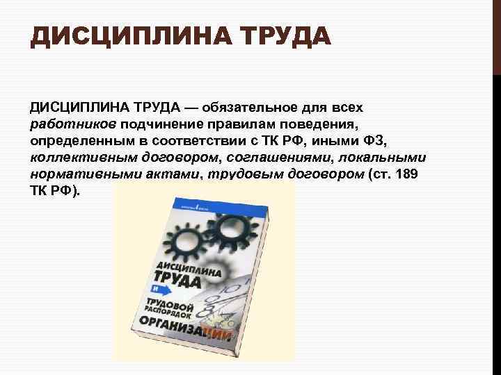 Обязательное для всех работников. Презентация на тему дисциплина труда. Трудовая дисциплина презентация. Принципы дисциплины труда.