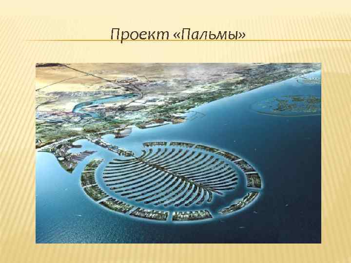 Проект «Пальмы» 