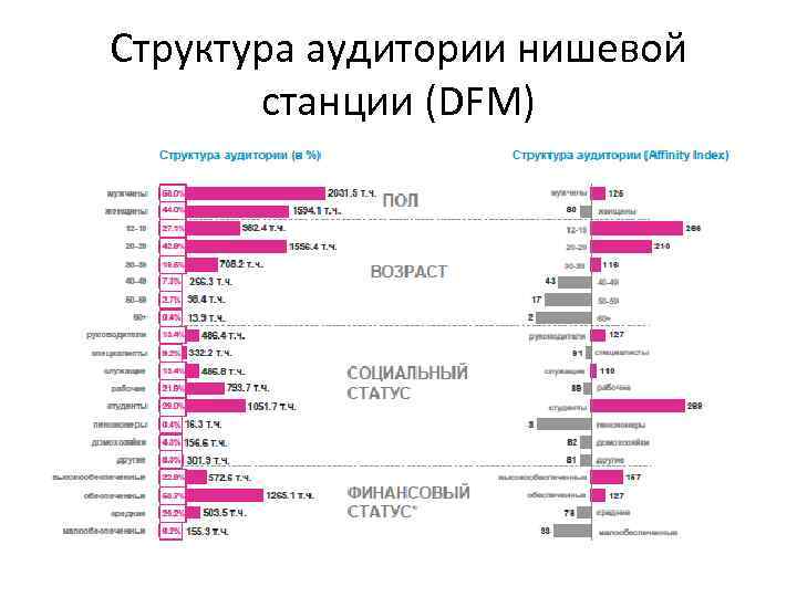 Структура аудитории нишевой станции (DFM) 