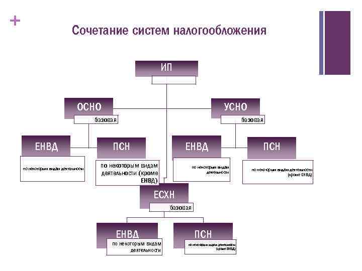 + Сочетание систем налогообложения ИП УСНО ОСНО базовая ЕНВД по некоторым видам деятельности базовая