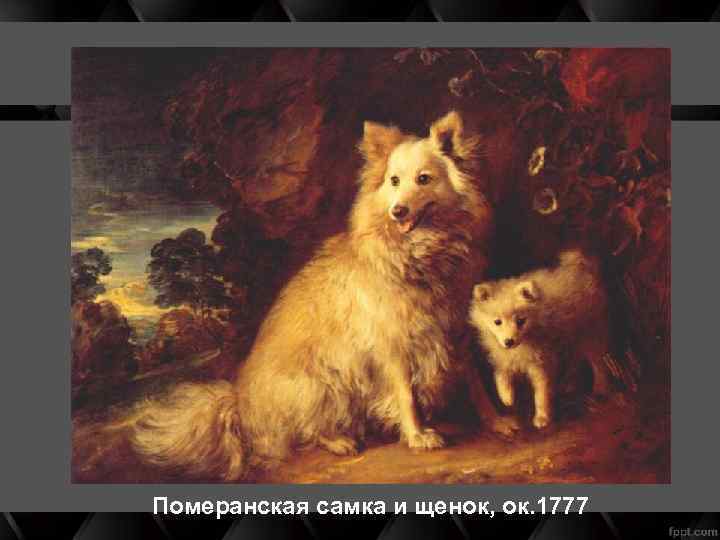 Померанская самка и щенок, ок. 1777 