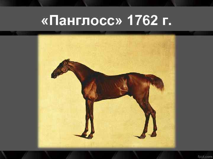  «Панглосс» 1762 г. 