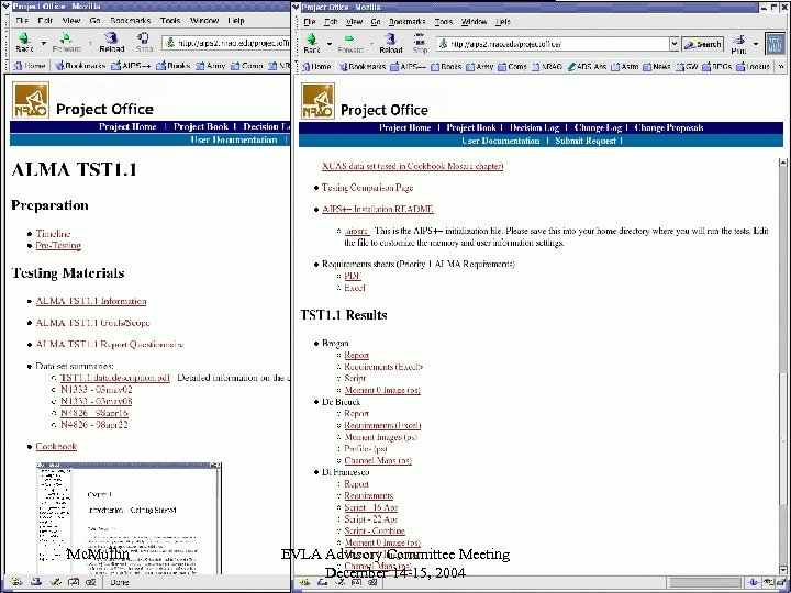 Mc. Mullin EVLA Advisory Committee Meeting December 14 -15, 2004 