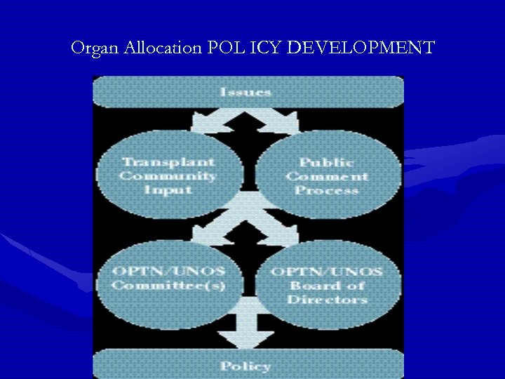 Organ Allocation POL ICY DEVELOPMENT 