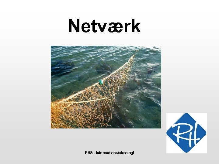 Netværk RHS - Informationsteknologi 