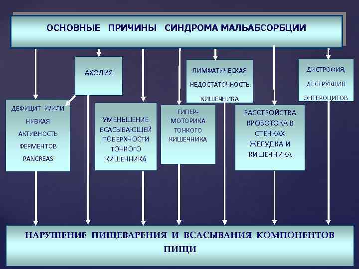 Синдром мальдигестии патофизиология презентация