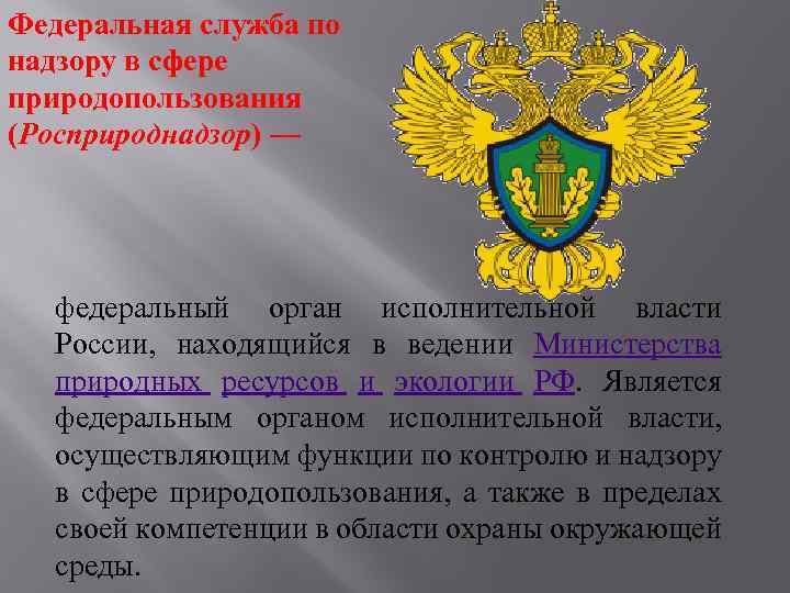 Служба по надзору природопользования. Федеральная служба по надзору в сфере природопользования. Федеральный надзор. Федеральная служба надзора. Росприроднадзор это орган исполнительной власти.