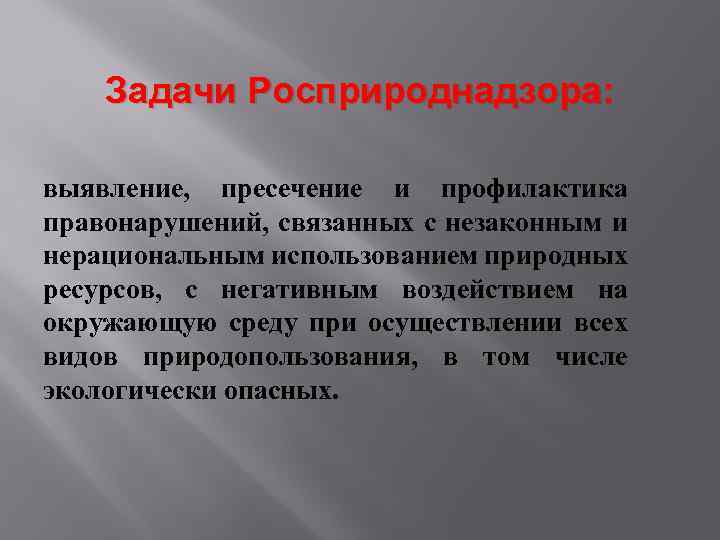 Выявление пресечение. Задачи Росприроднадзора. Цели и задачи Росприроднадзора. Росприроднадзор функции и задачи. Росприроднадзор основные функции.