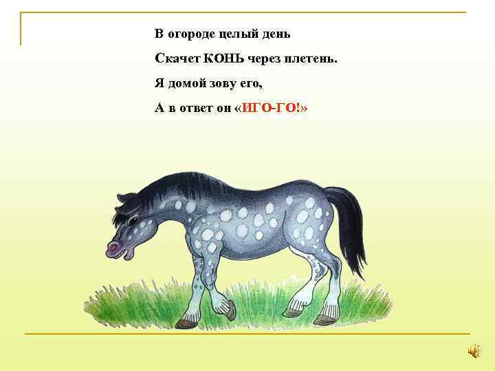 В огороде целый день Скачет КОНЬ через плетень. Я домой зову его, А в