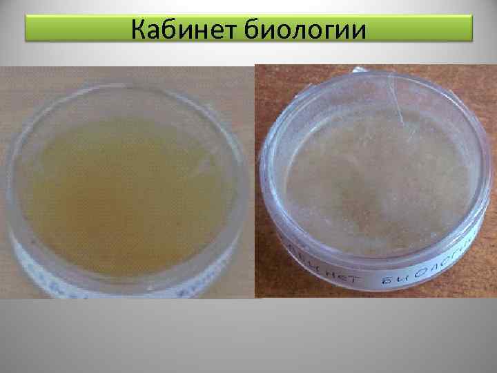 Кабинет биологии 