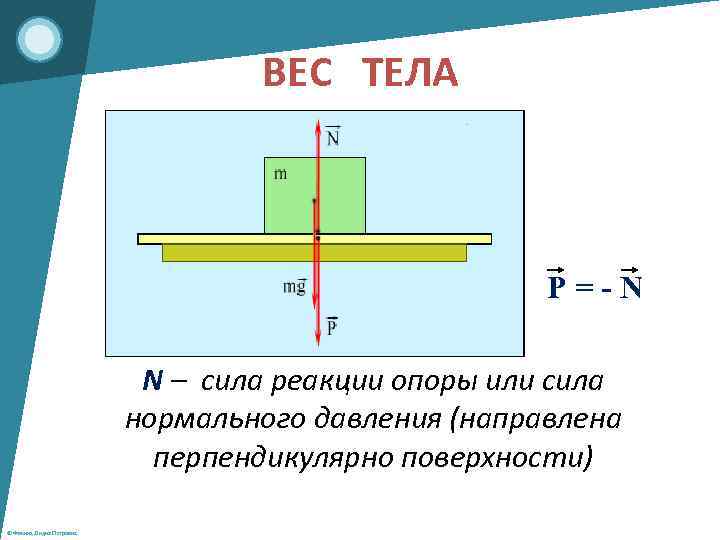 Определите на каком из рисунков дано правильное изображение веса тела а б в г